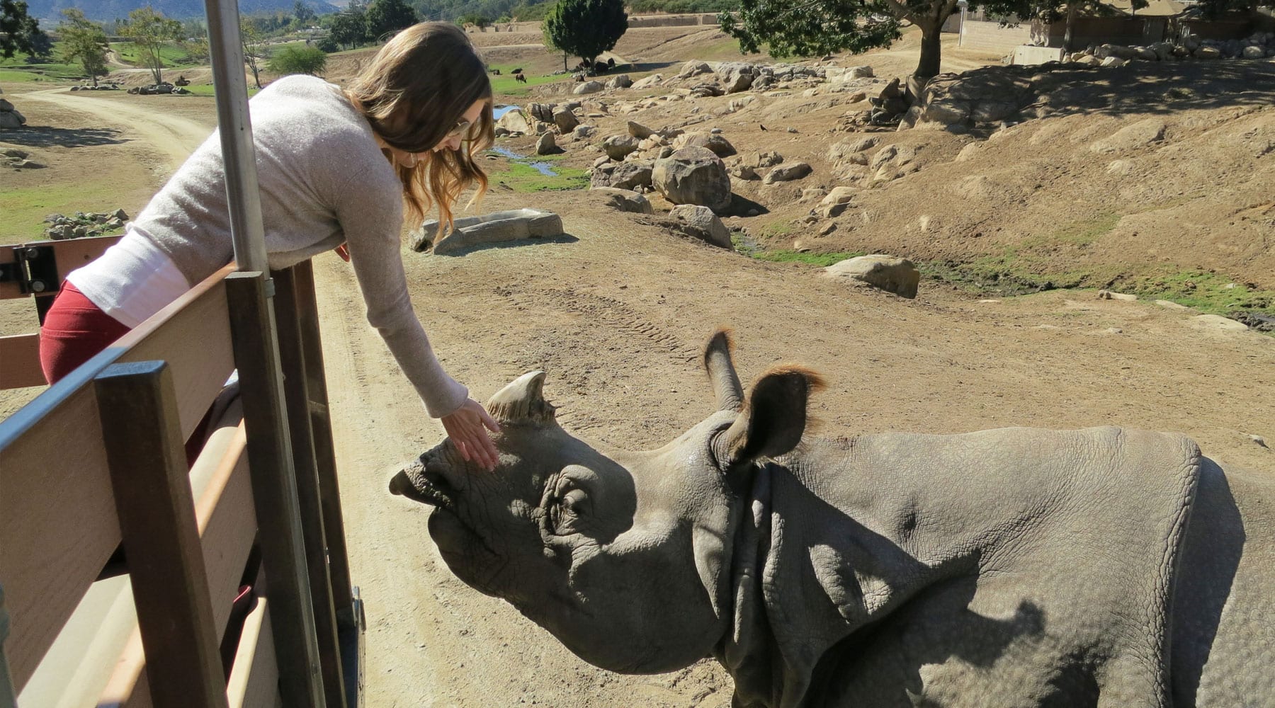 San Diego Zoo Safari Park